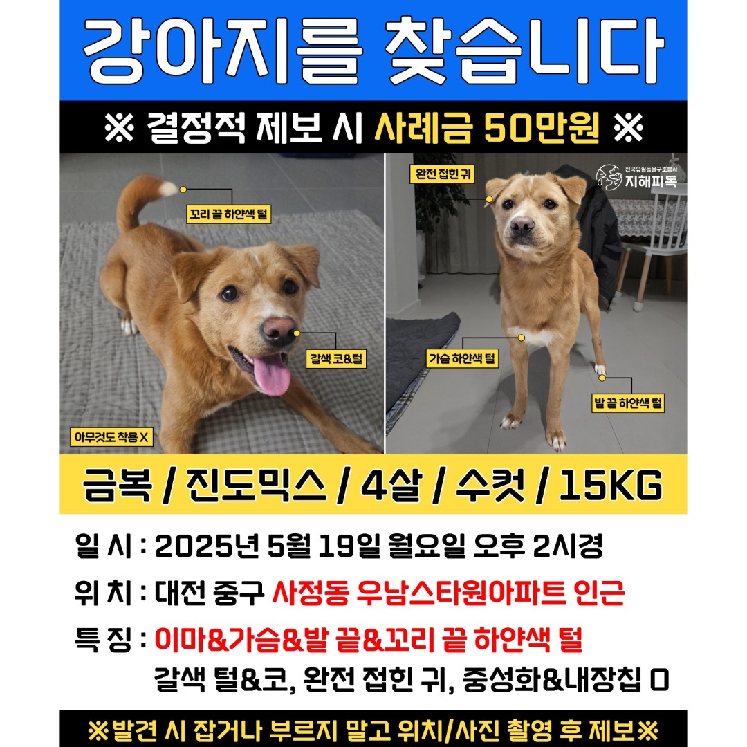 Post image 45