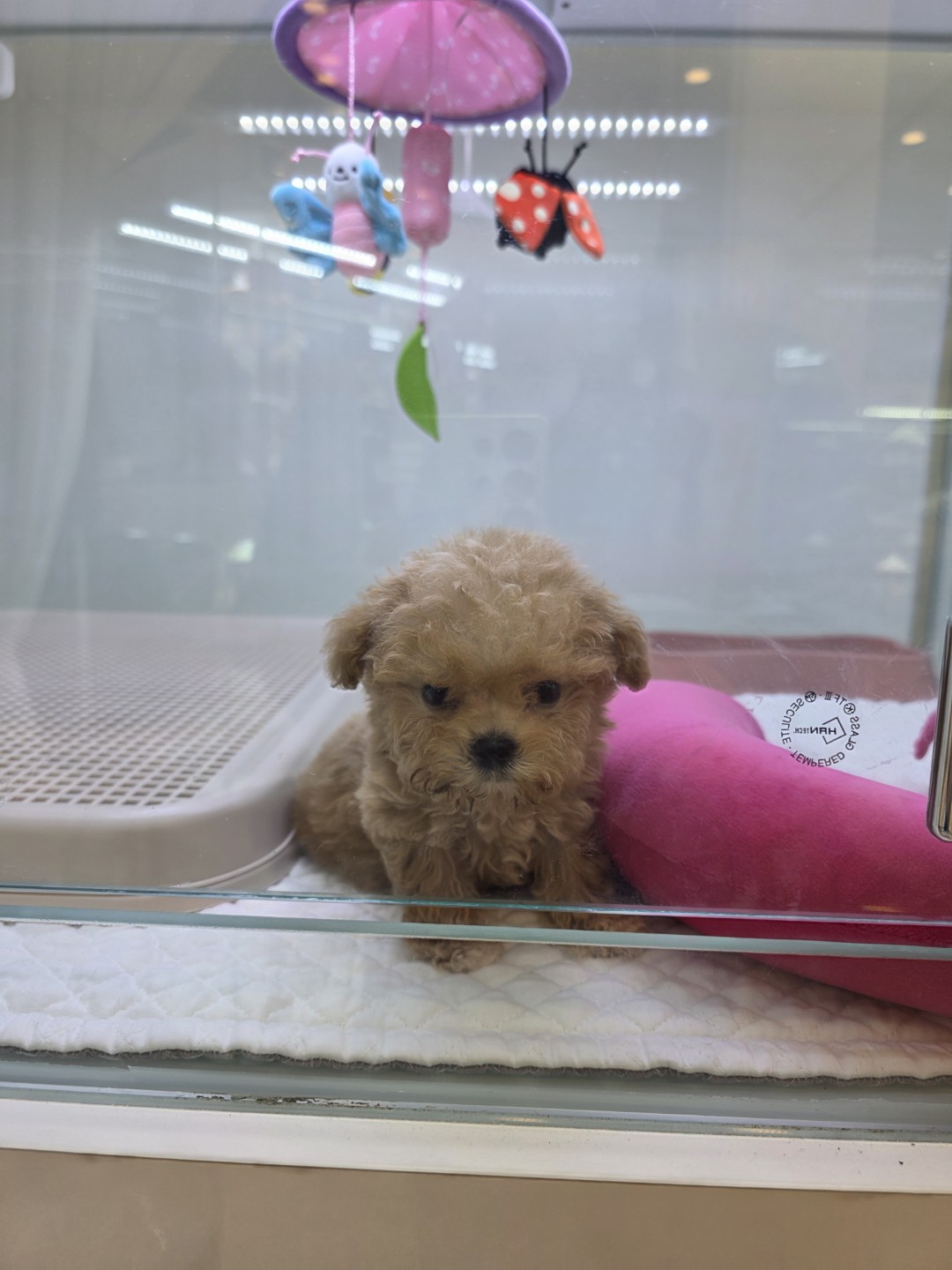 AI, 자동화 도와드릴게요