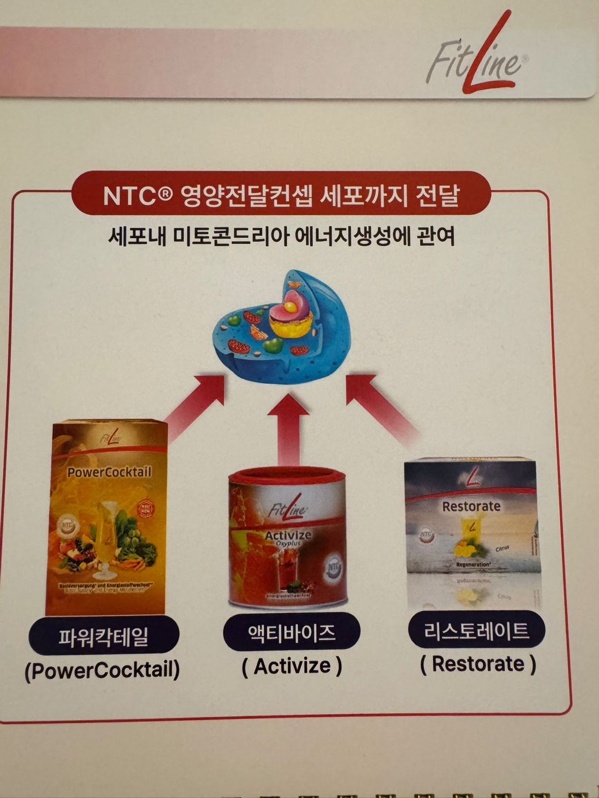독일pm주스 바로알기