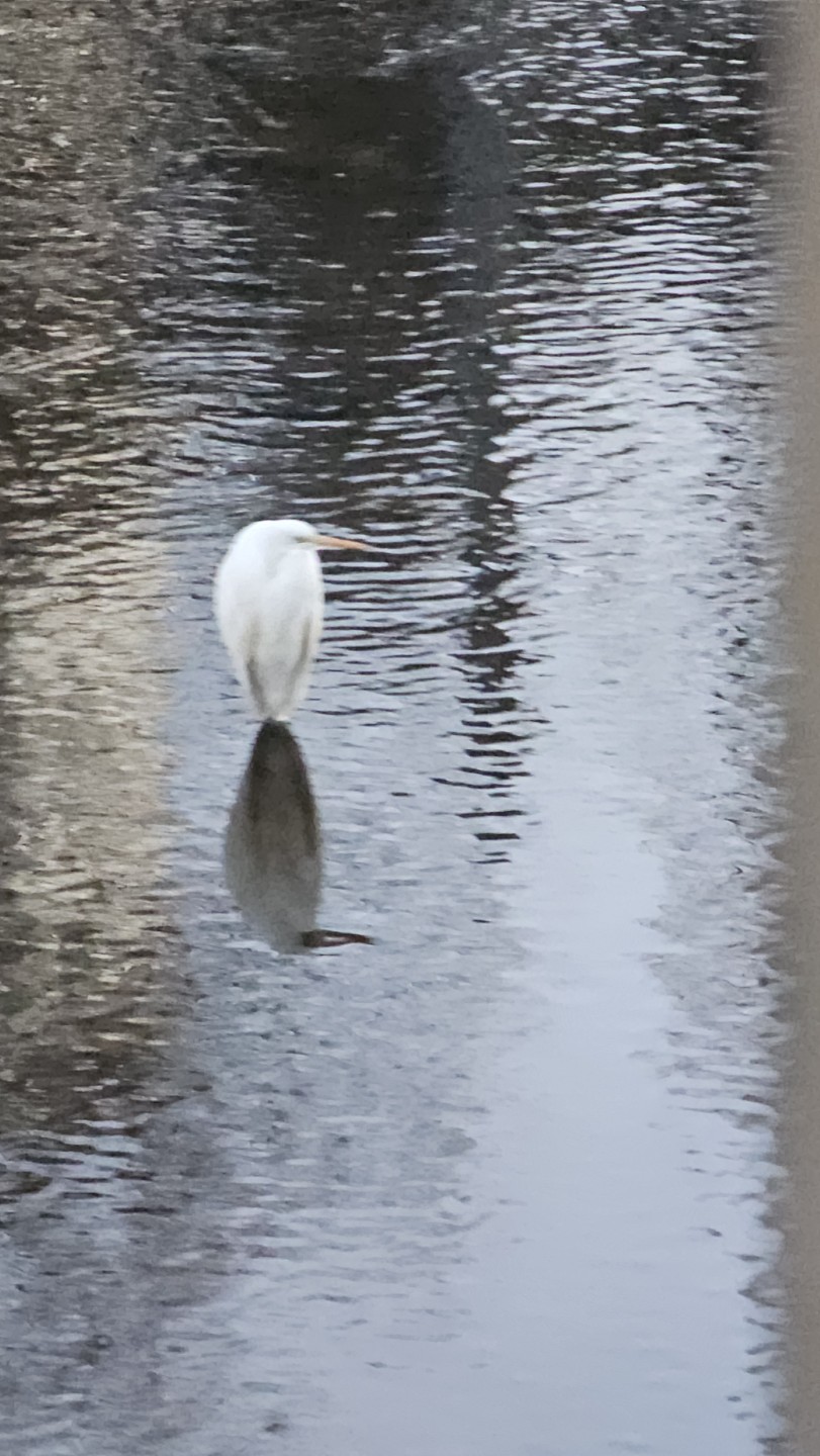 언제나..그자리