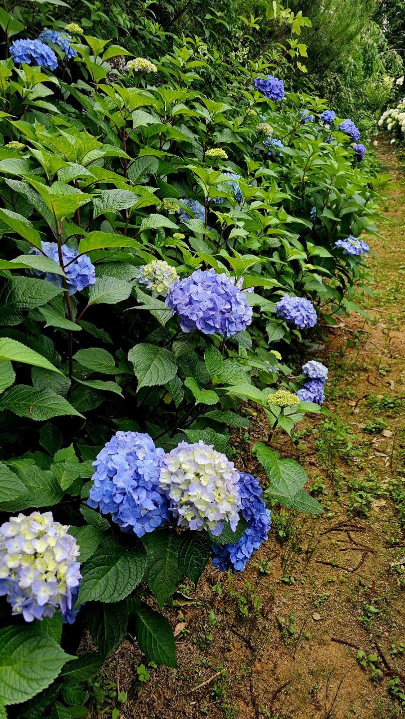 Post image 8