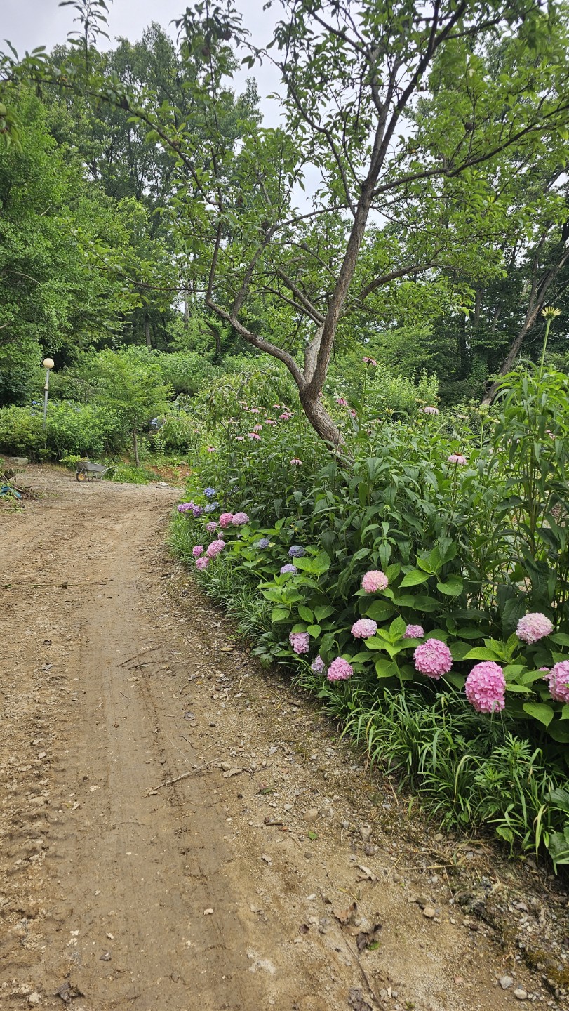 Post image 5