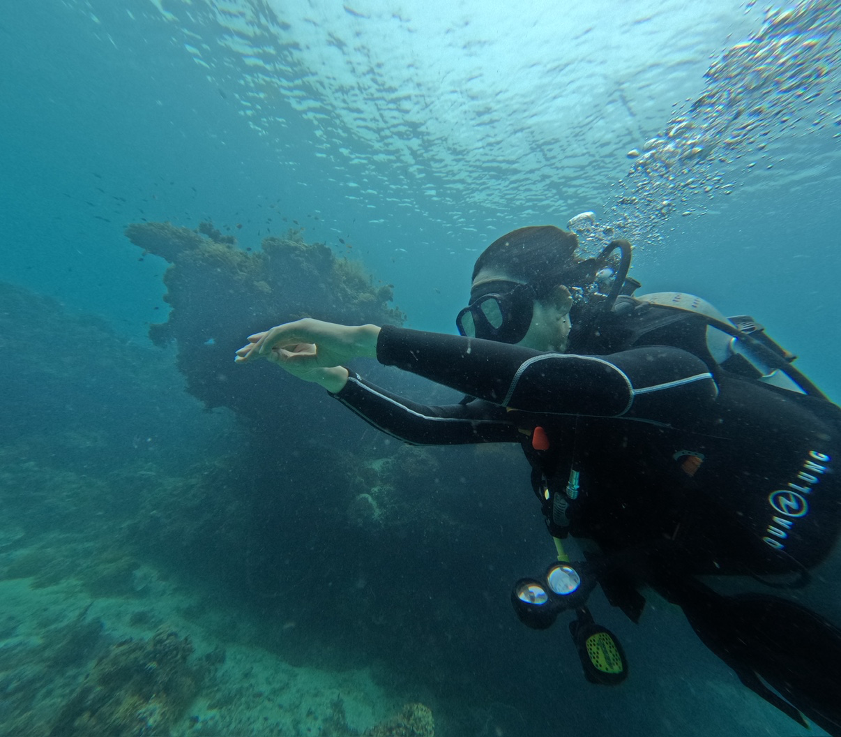 실시간 보홀 다이빙~~