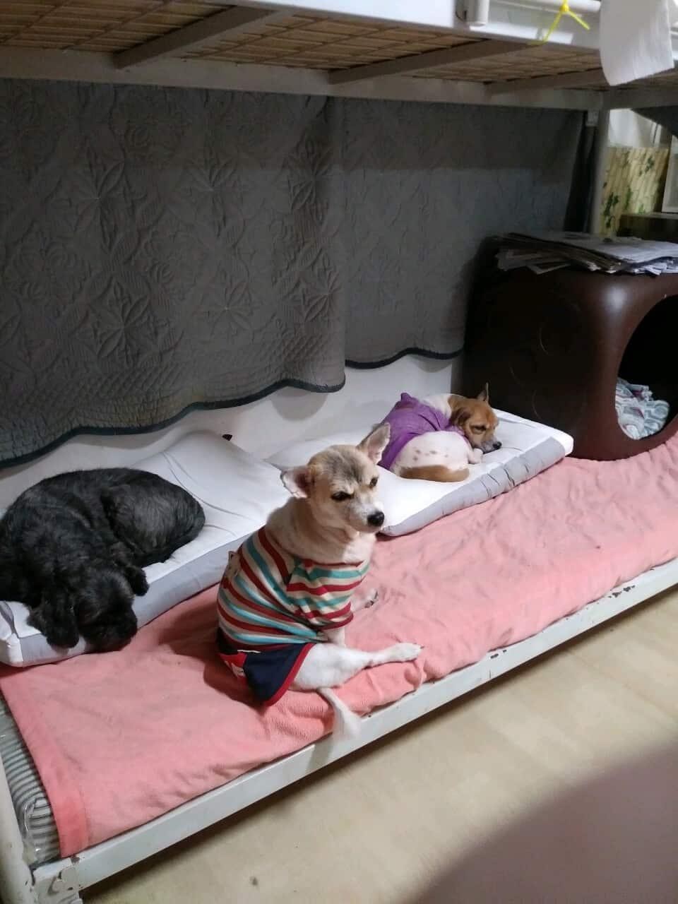 Post image 5