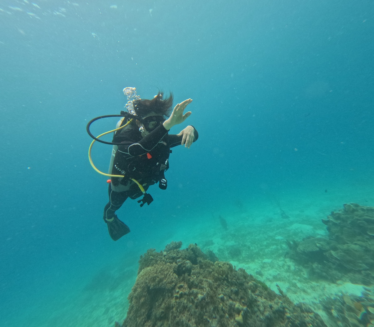 실시간 보홀 다이빙~~