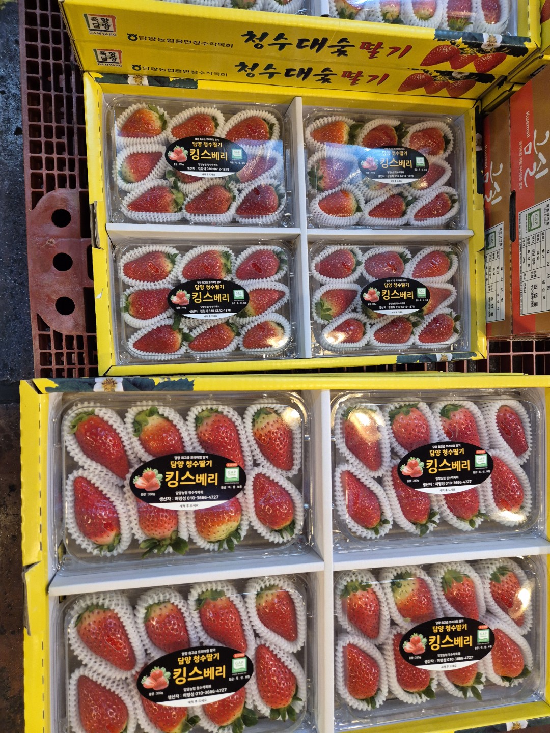 [반포후르츠] 가락시장 과일공동구매합니다