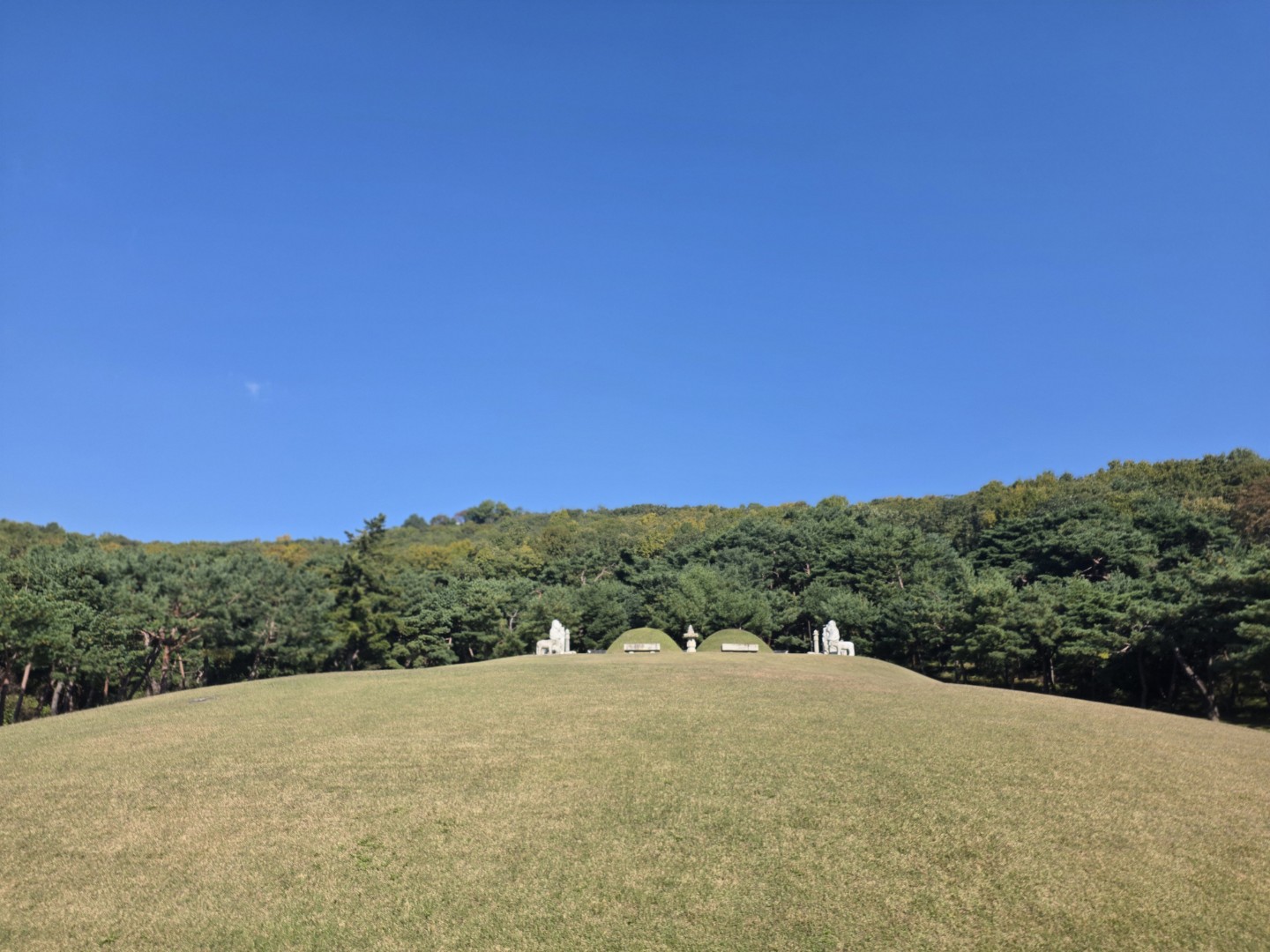 Post image 10