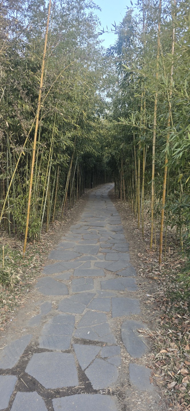 Post image 104