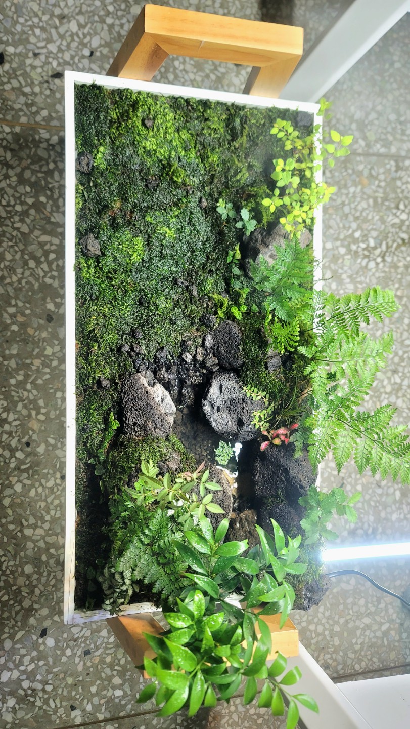 Post image 5