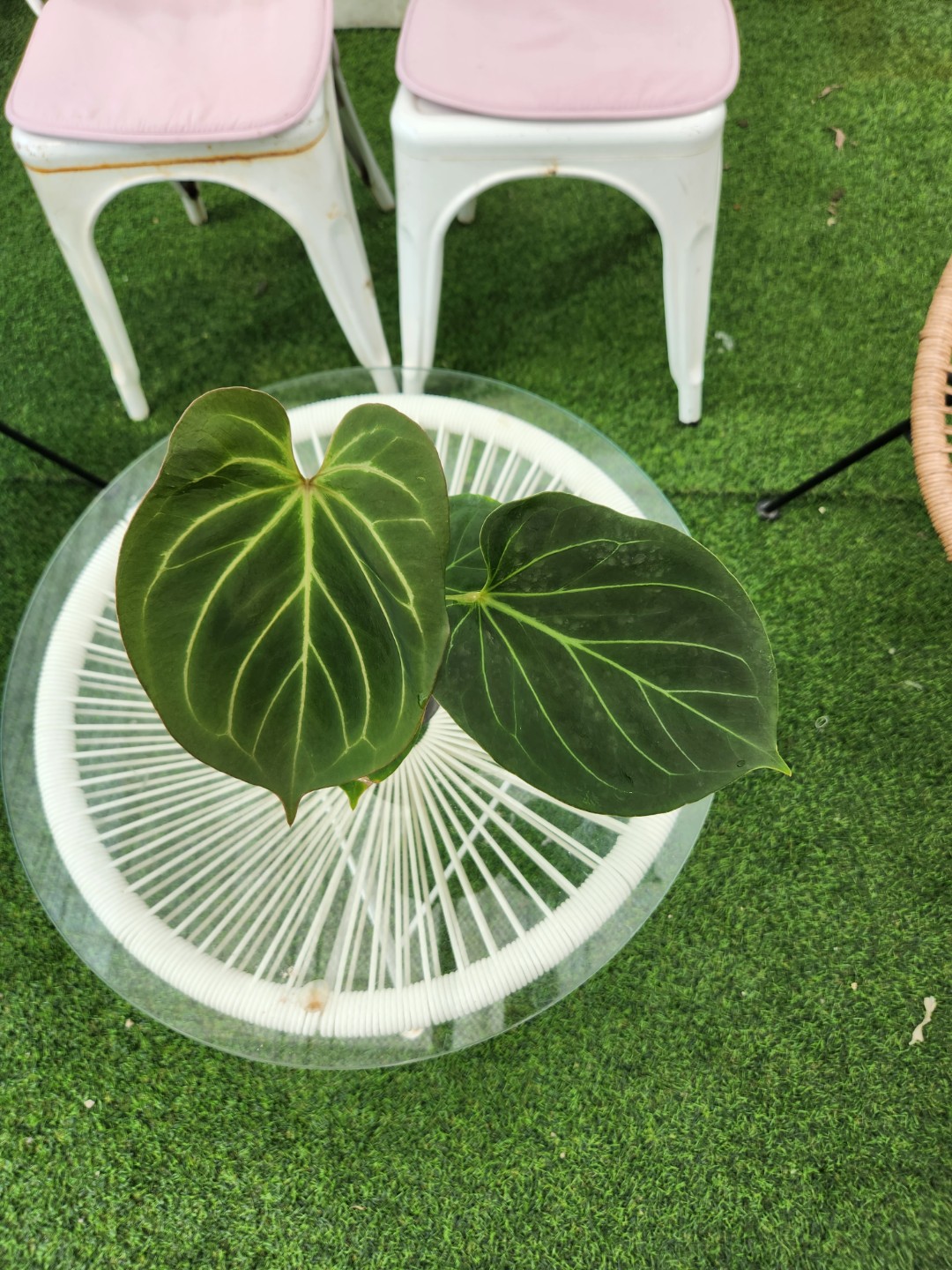 Post image 6