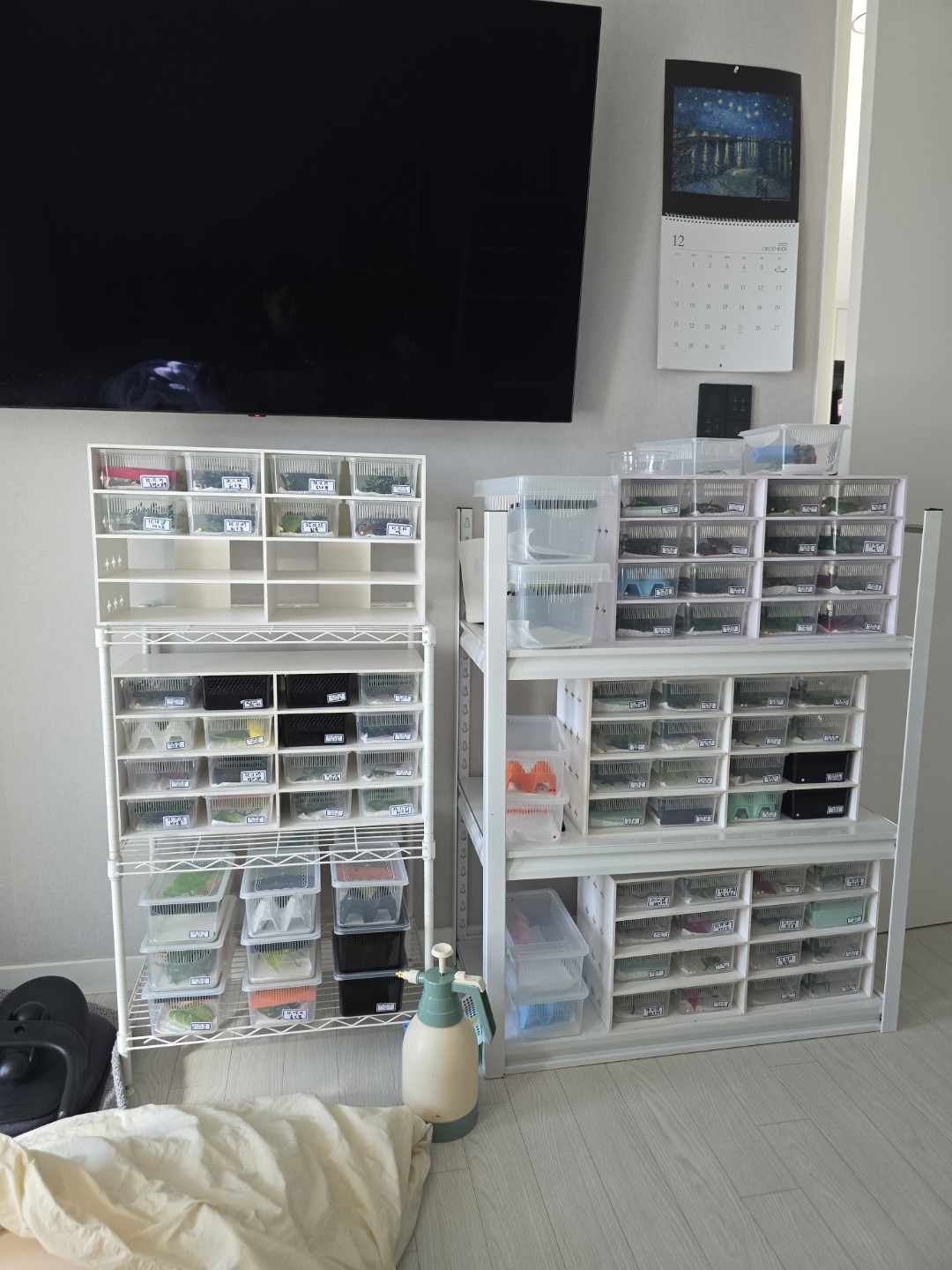 Post image 9