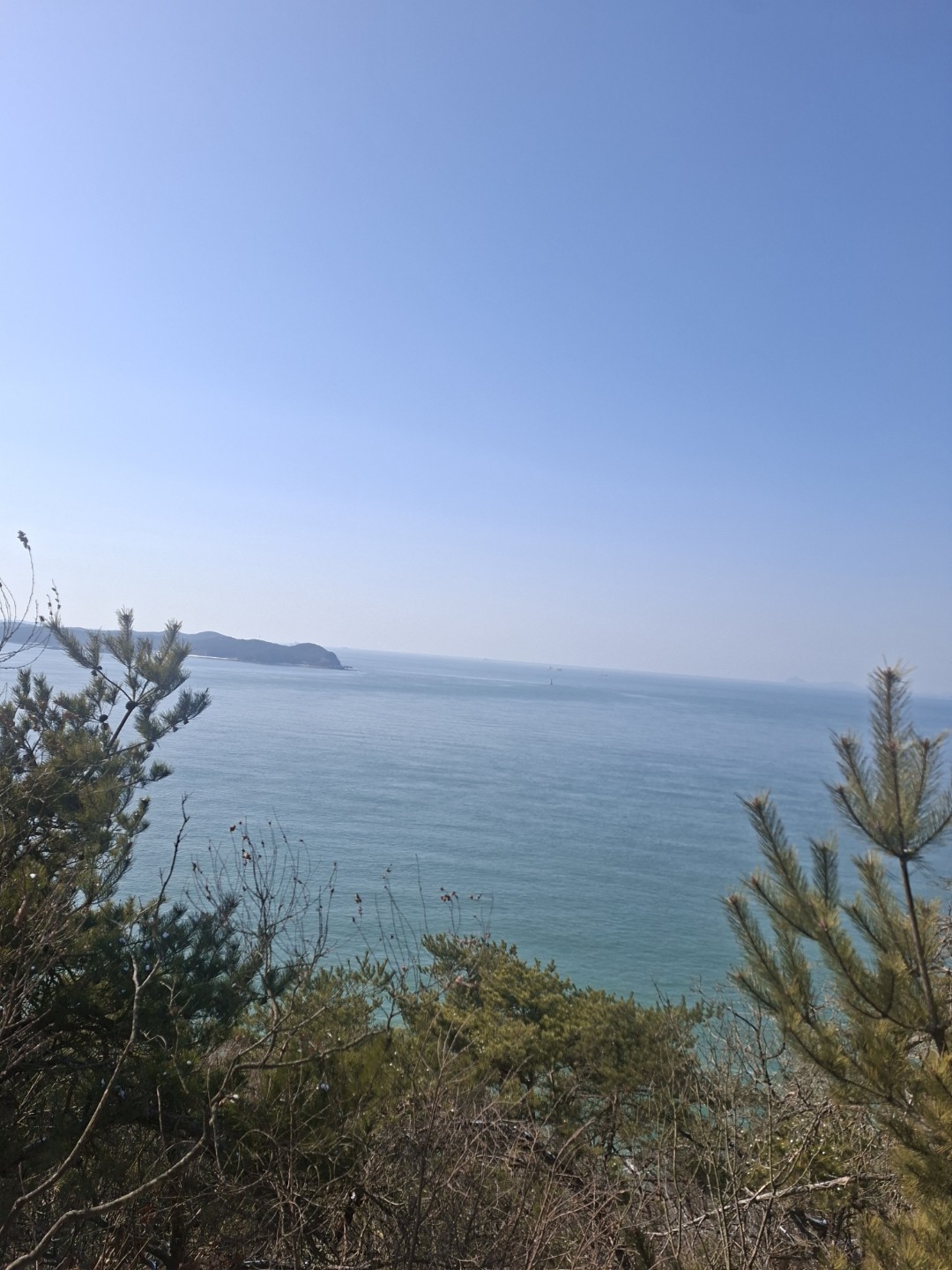 Post image 5