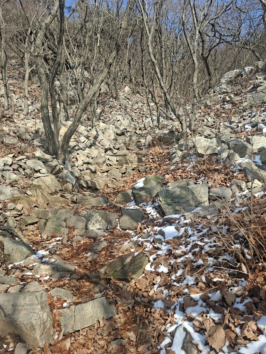 Post image 12