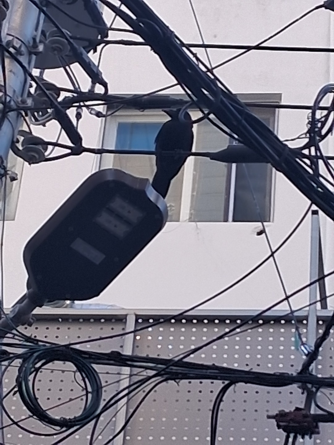 Post image 8