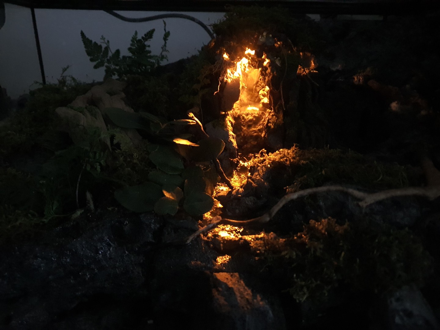 Post image 3