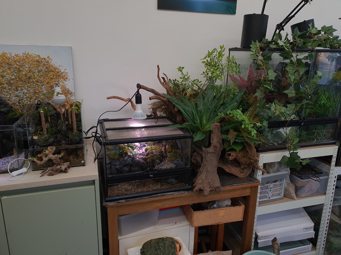 Post image 8