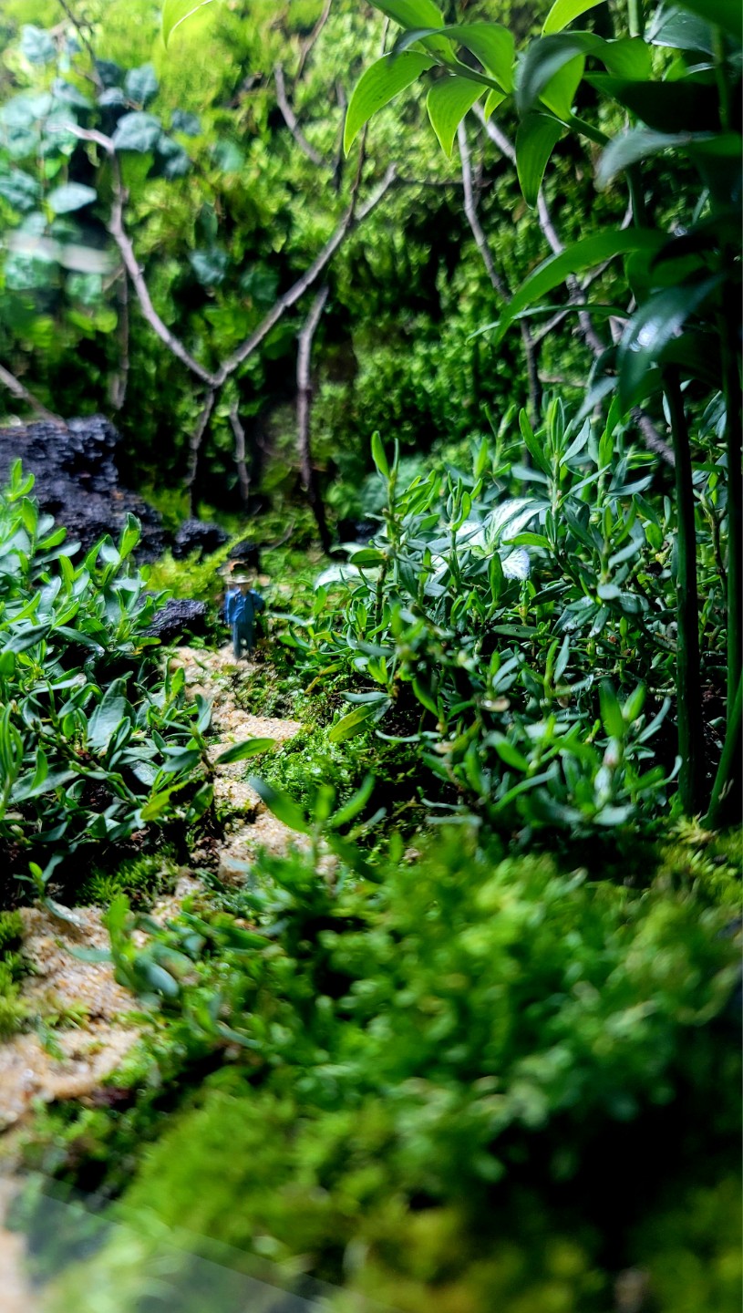 Post image 6