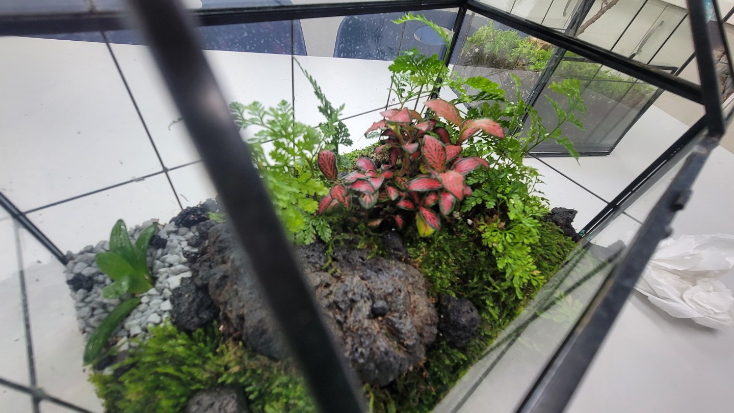 Post image 10