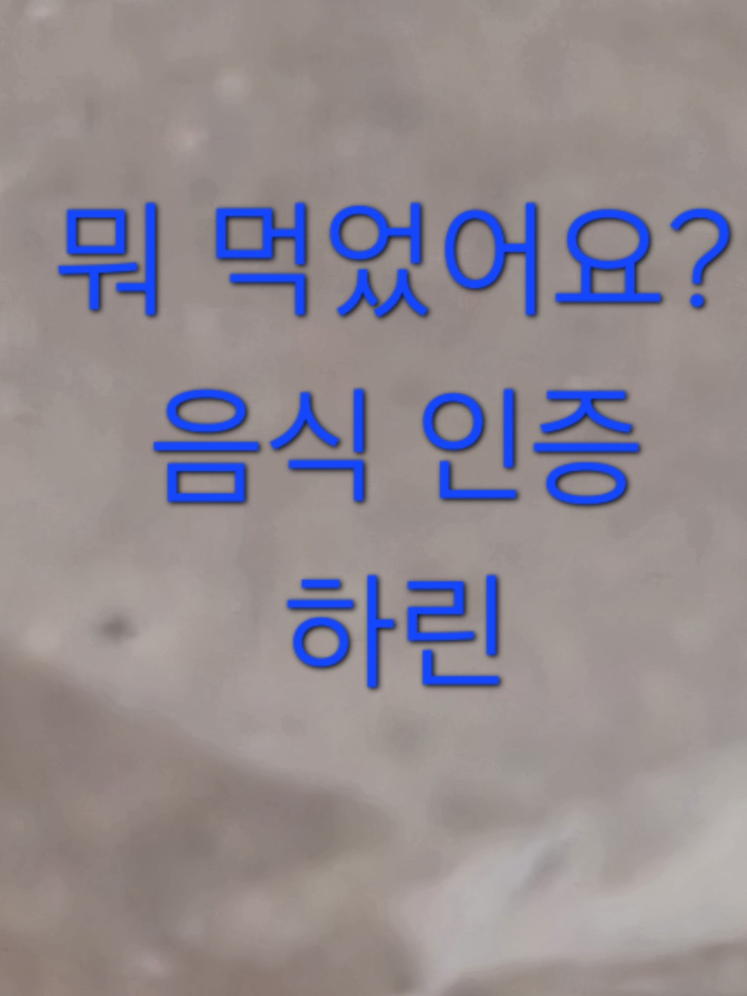 2/2 오늘의 식단과 디저트