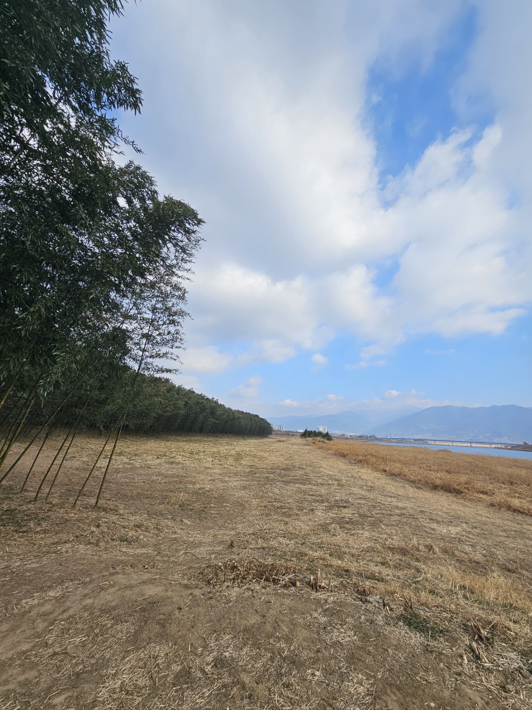 Post image 13