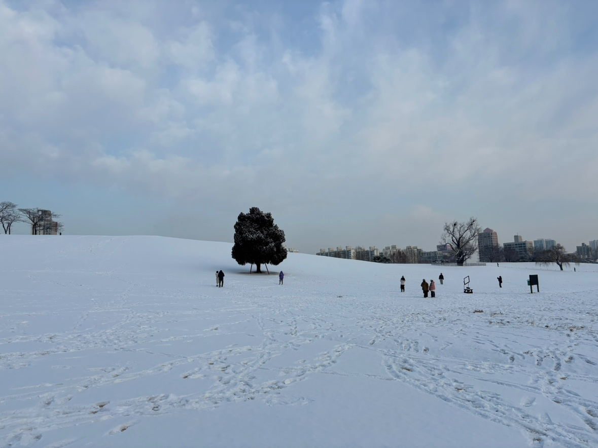 Post image 4