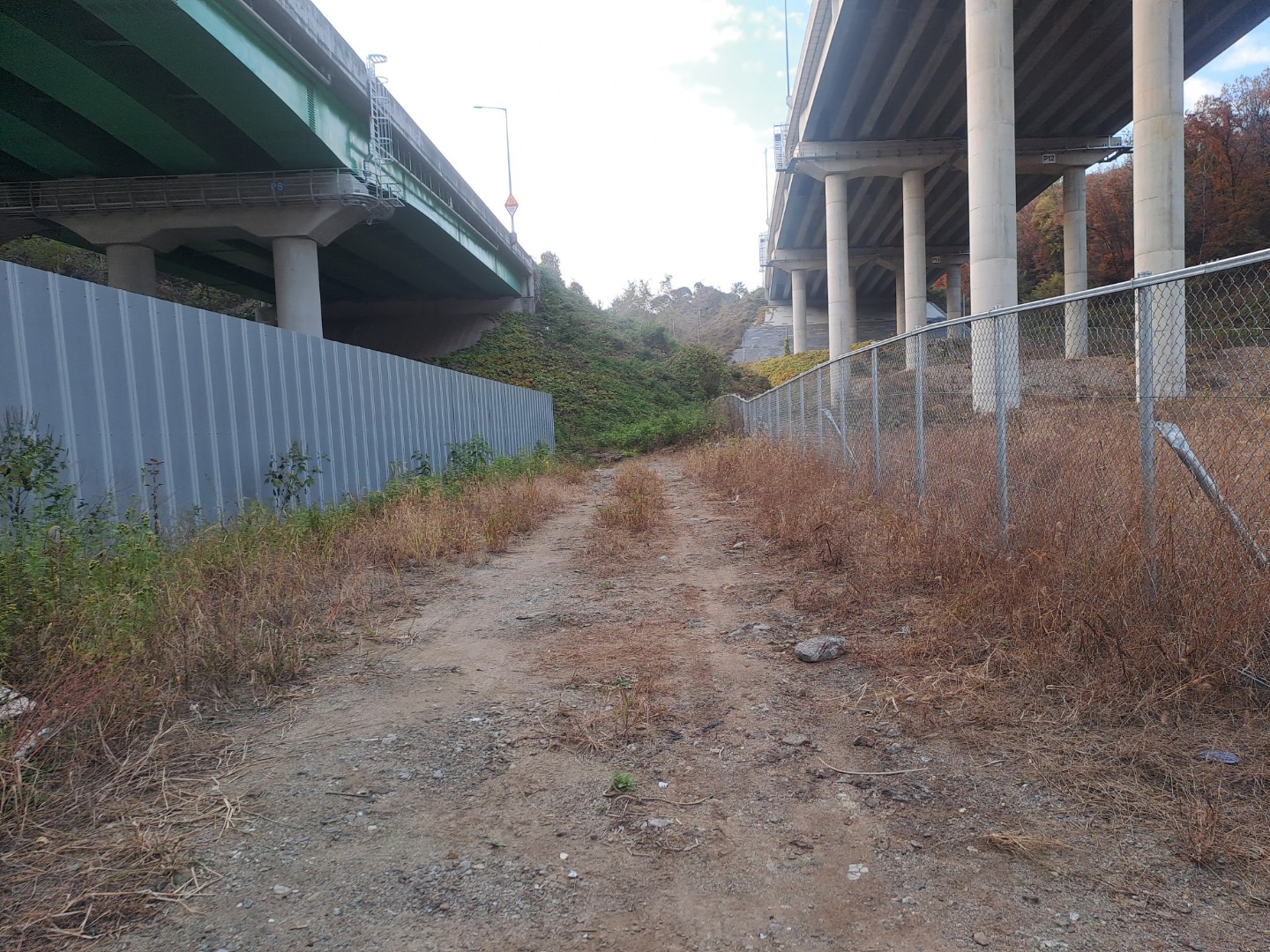 Post image 16