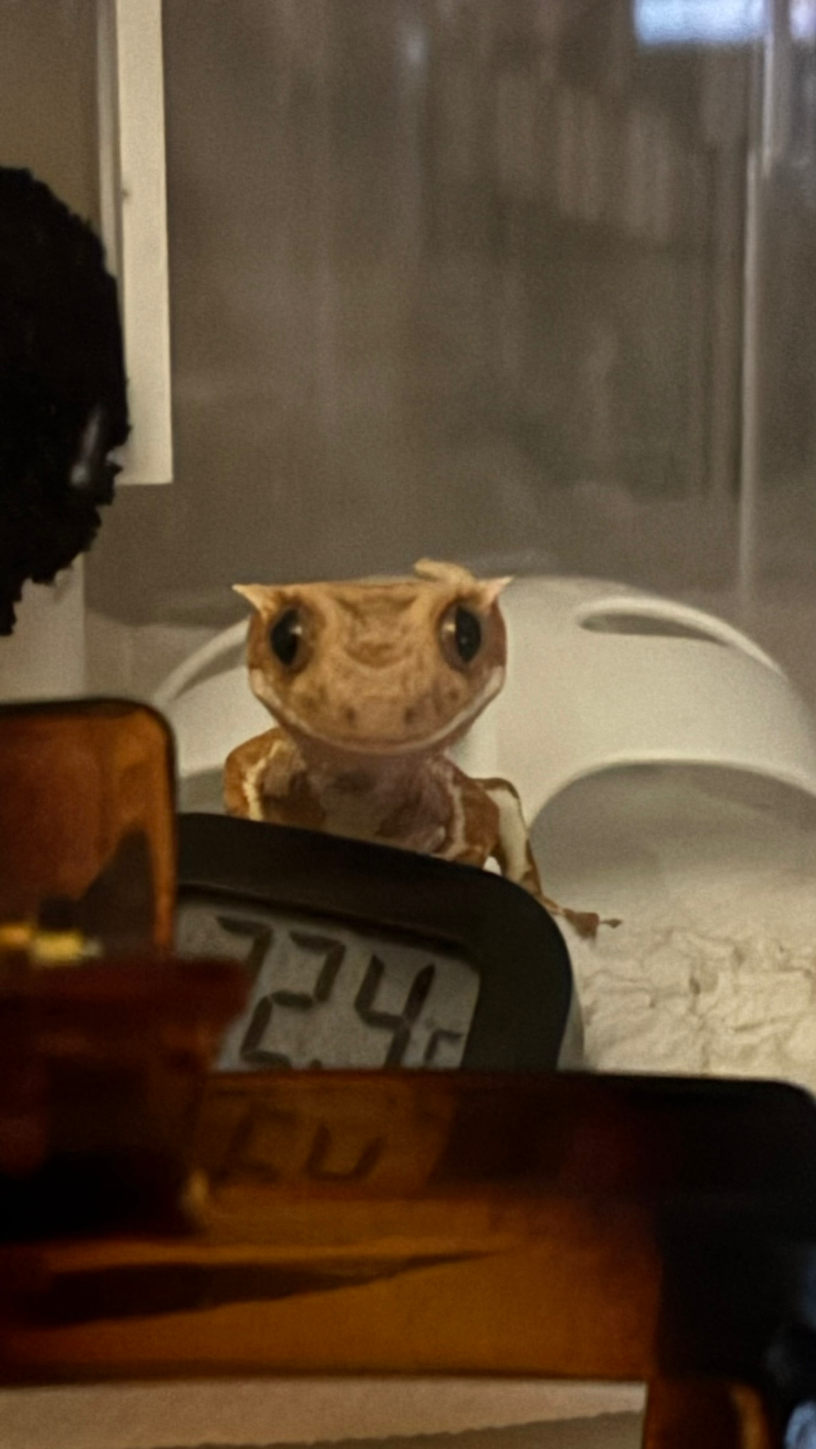 ㅋㅋㅎㅋㅎㅎ너무 웃기게 생겼어🤣