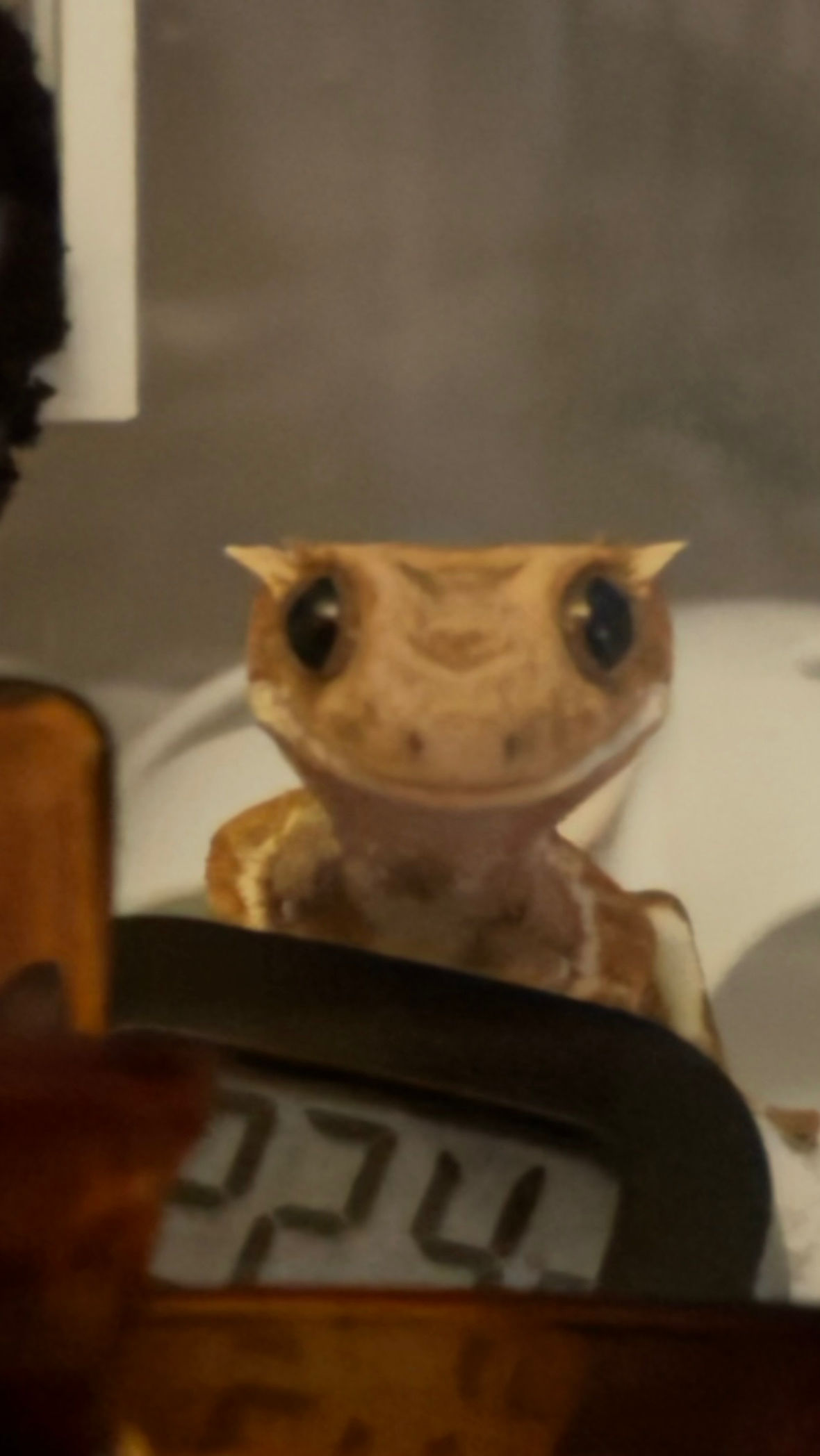 ㅋㅋㅎㅋㅎㅎ너무 웃기게 생겼어🤣