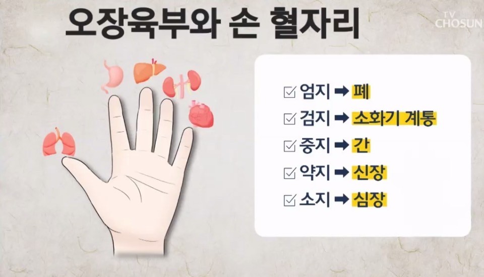 오장육부와 손 혈자리 알아볼까요?!^^