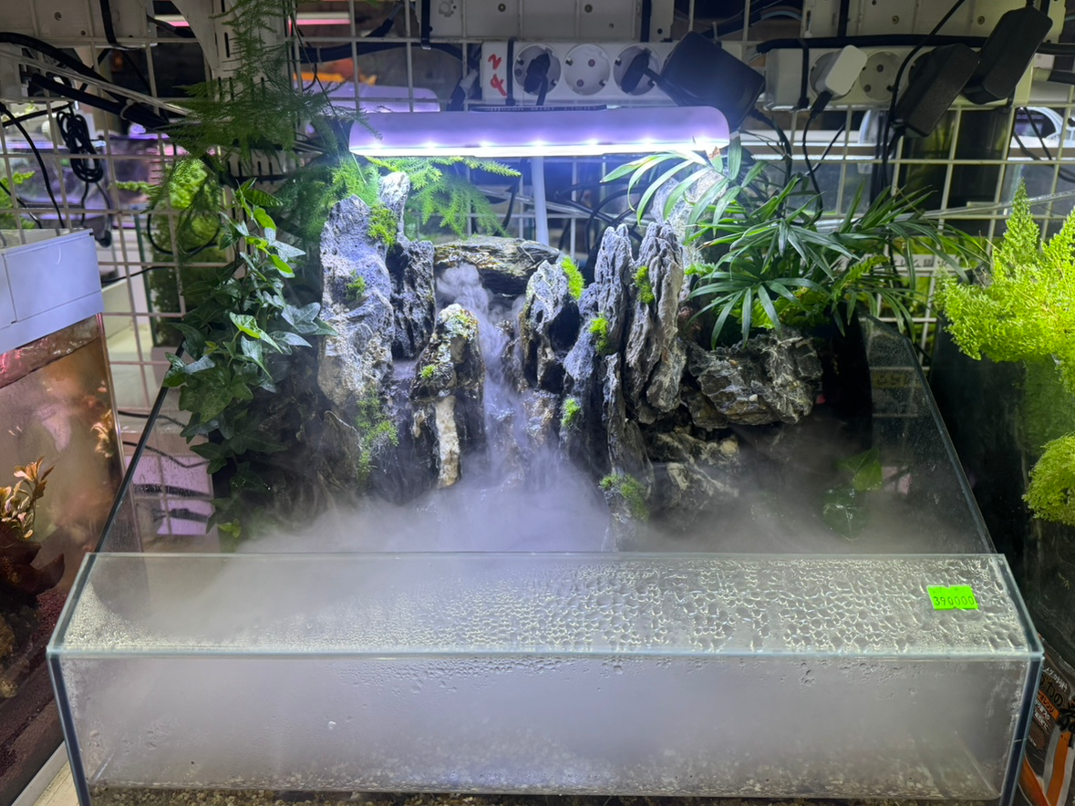 Post image 10
