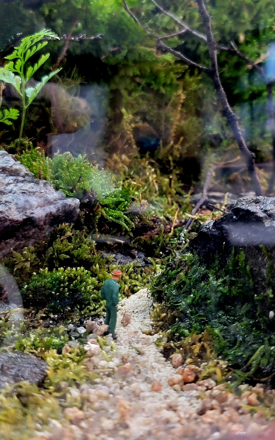 Post image 6