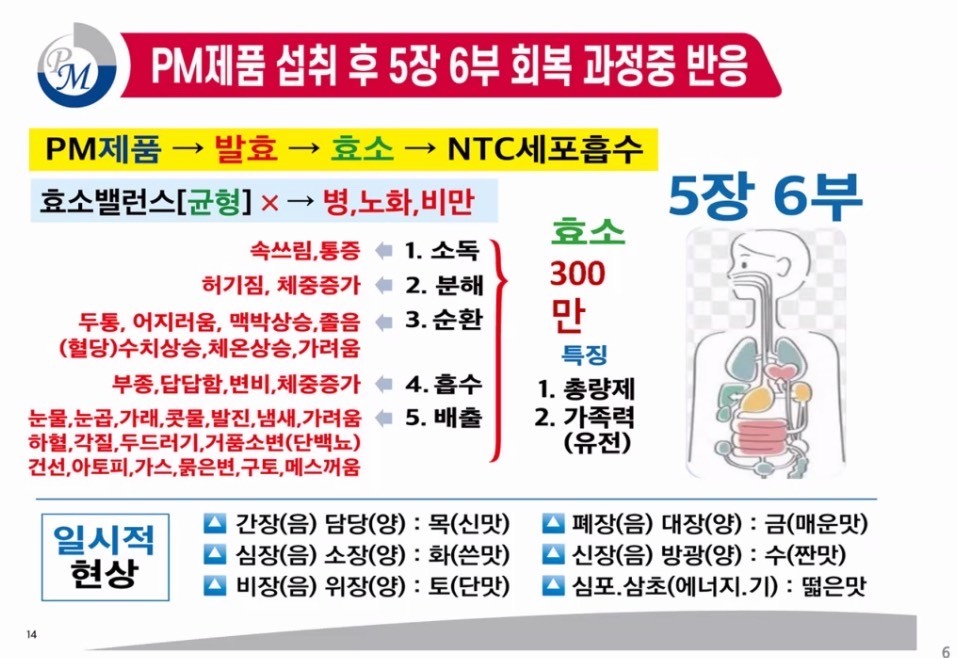 오장육부와 손 혈자리 알아볼까요?!^^