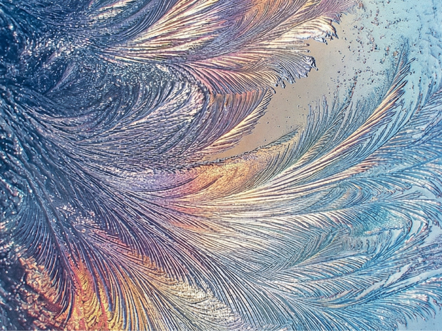 ADHD는 질환일까, 행동특성일까?