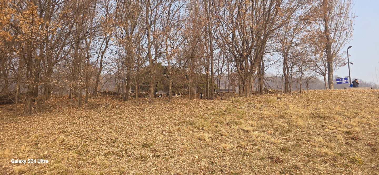 Post image 9