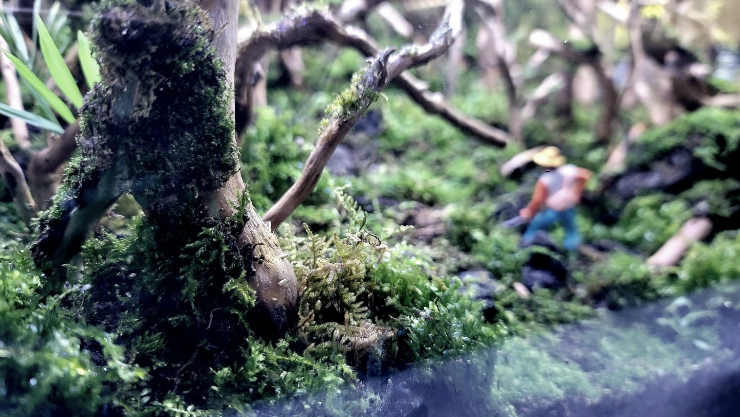Post image 4