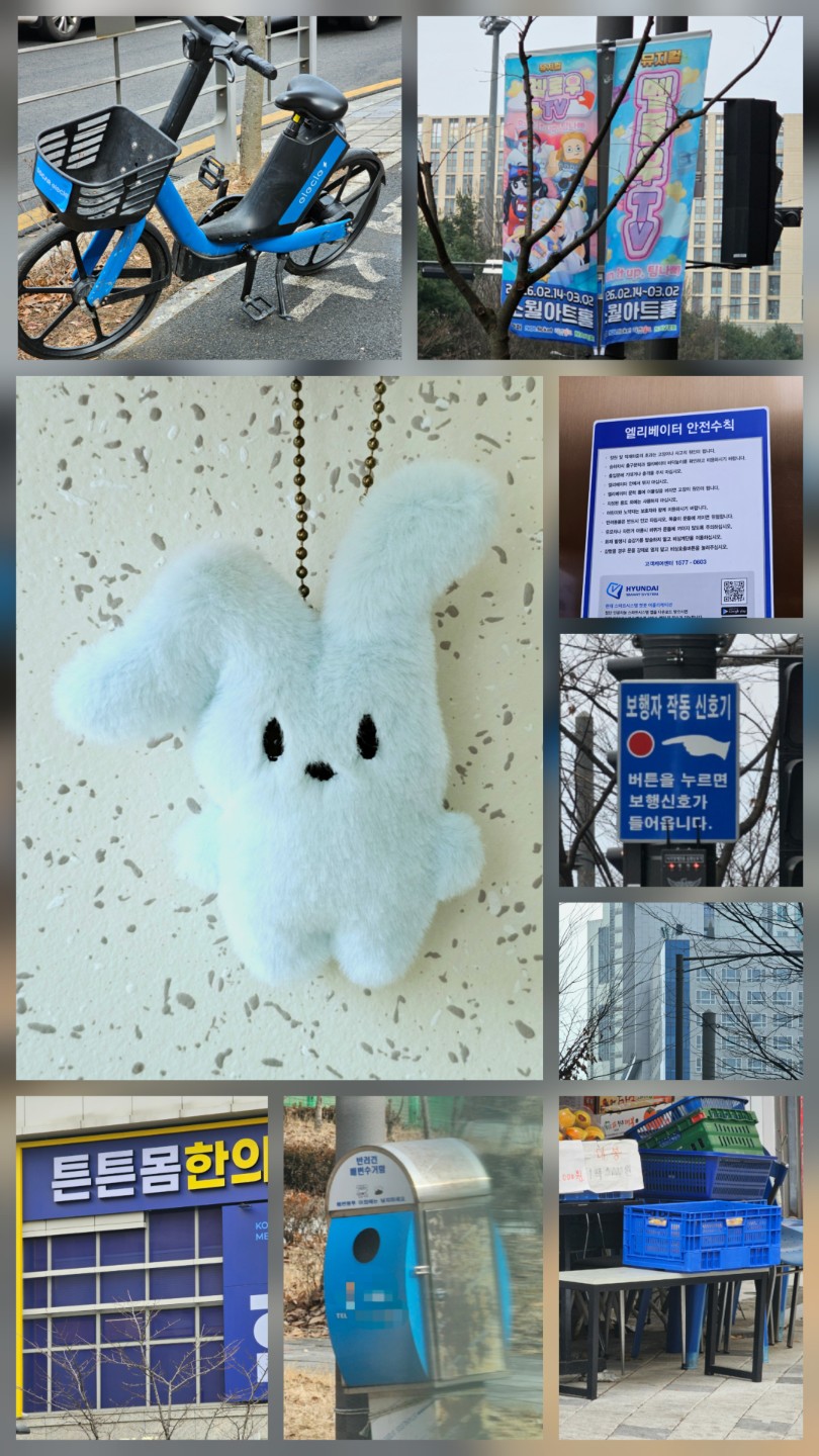 260205 오늘의 컬러🎨파랑