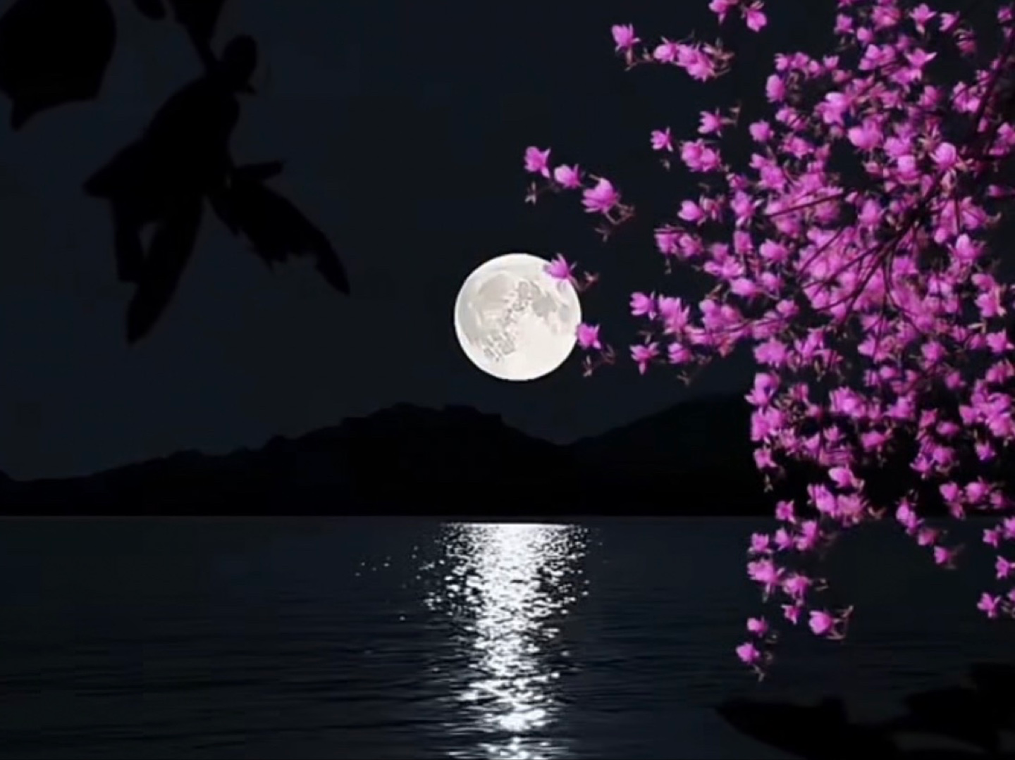 HSP(High Sensitive Person)란?