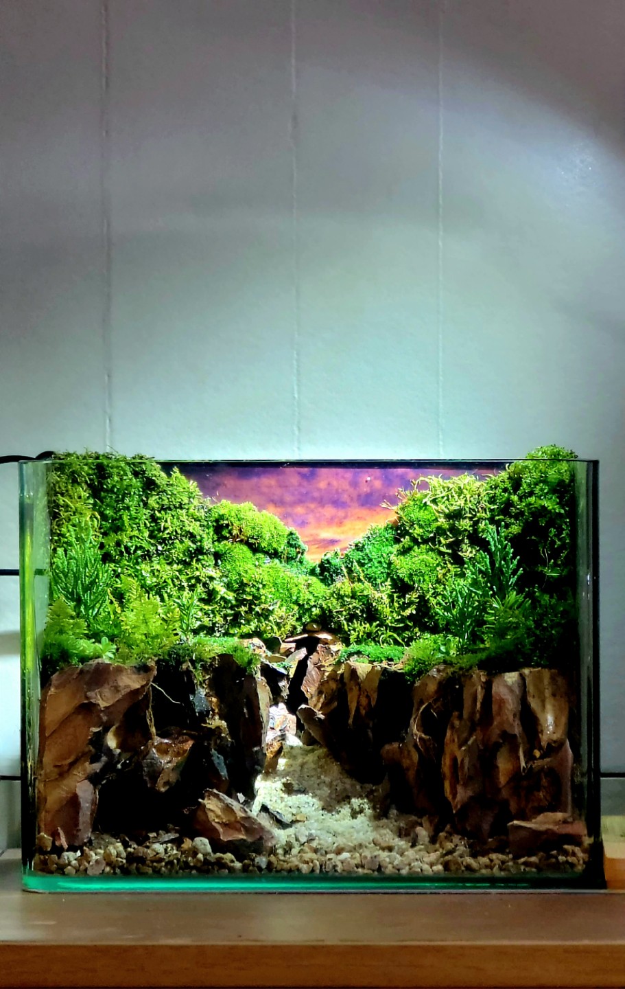 Post image 5