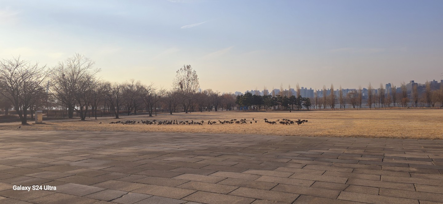 Post image 11