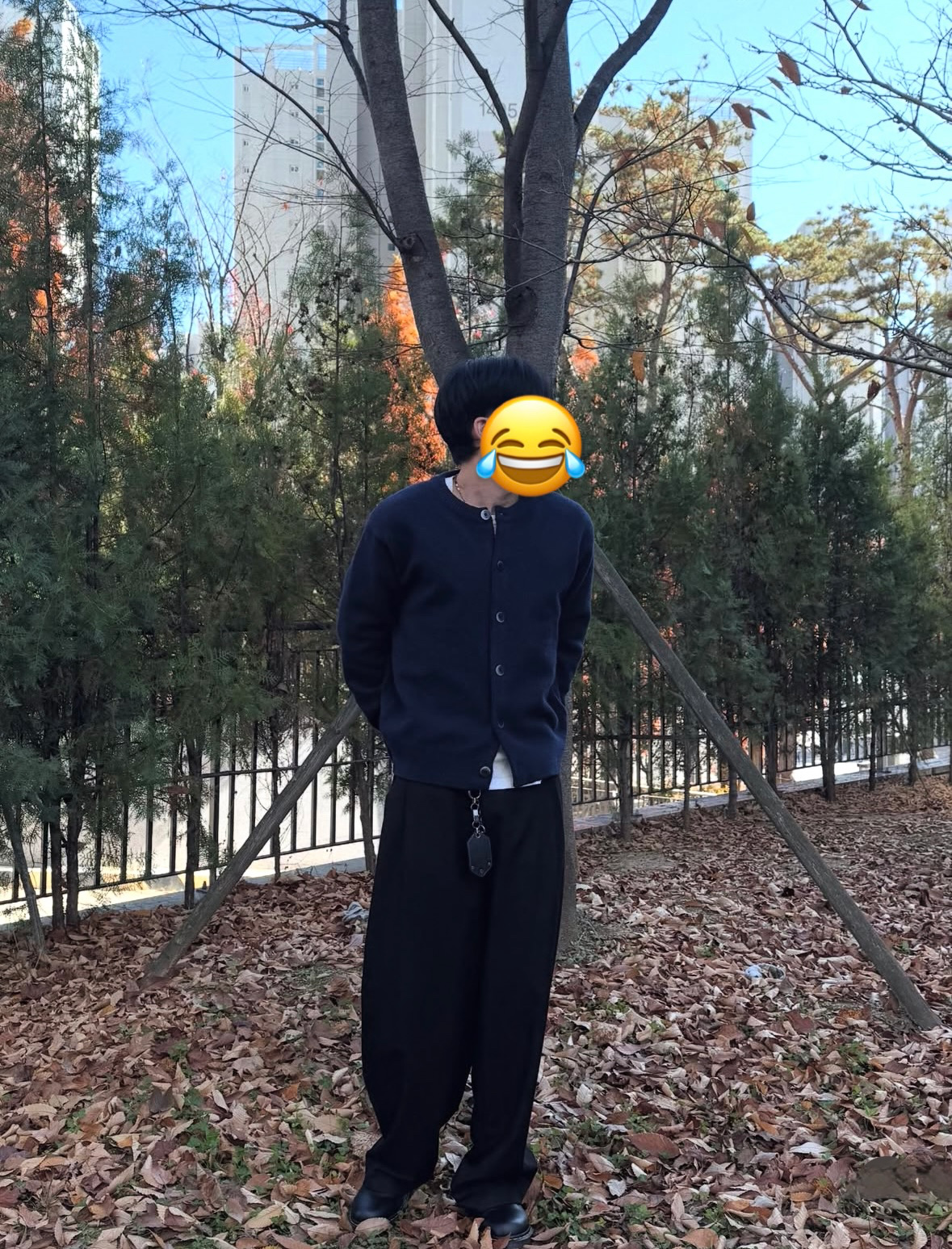 Post image 6