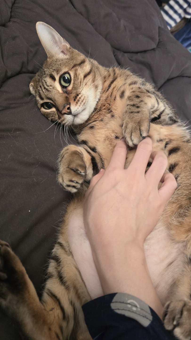 안녕하세요.