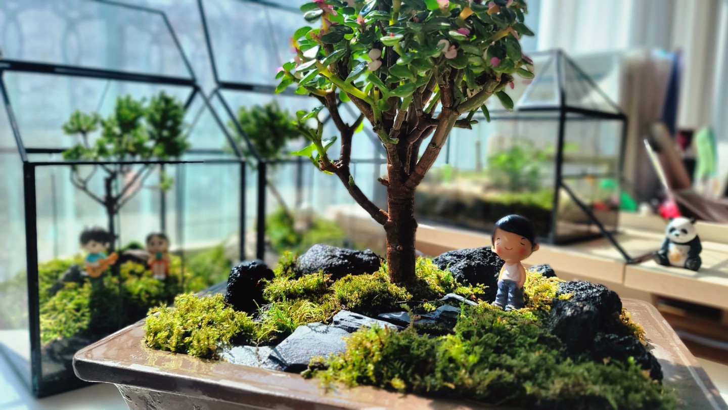 Post image 6