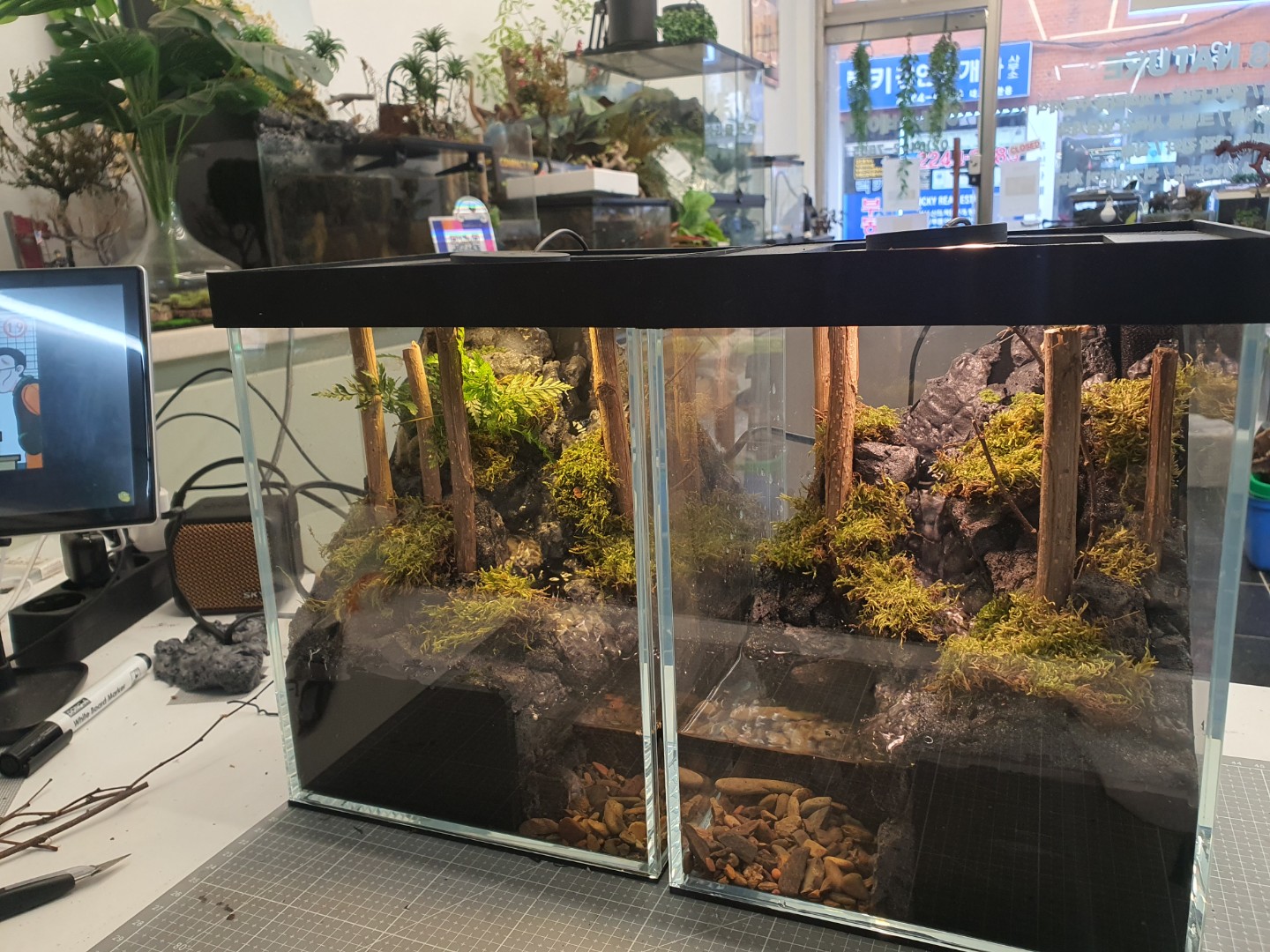 Post image 5