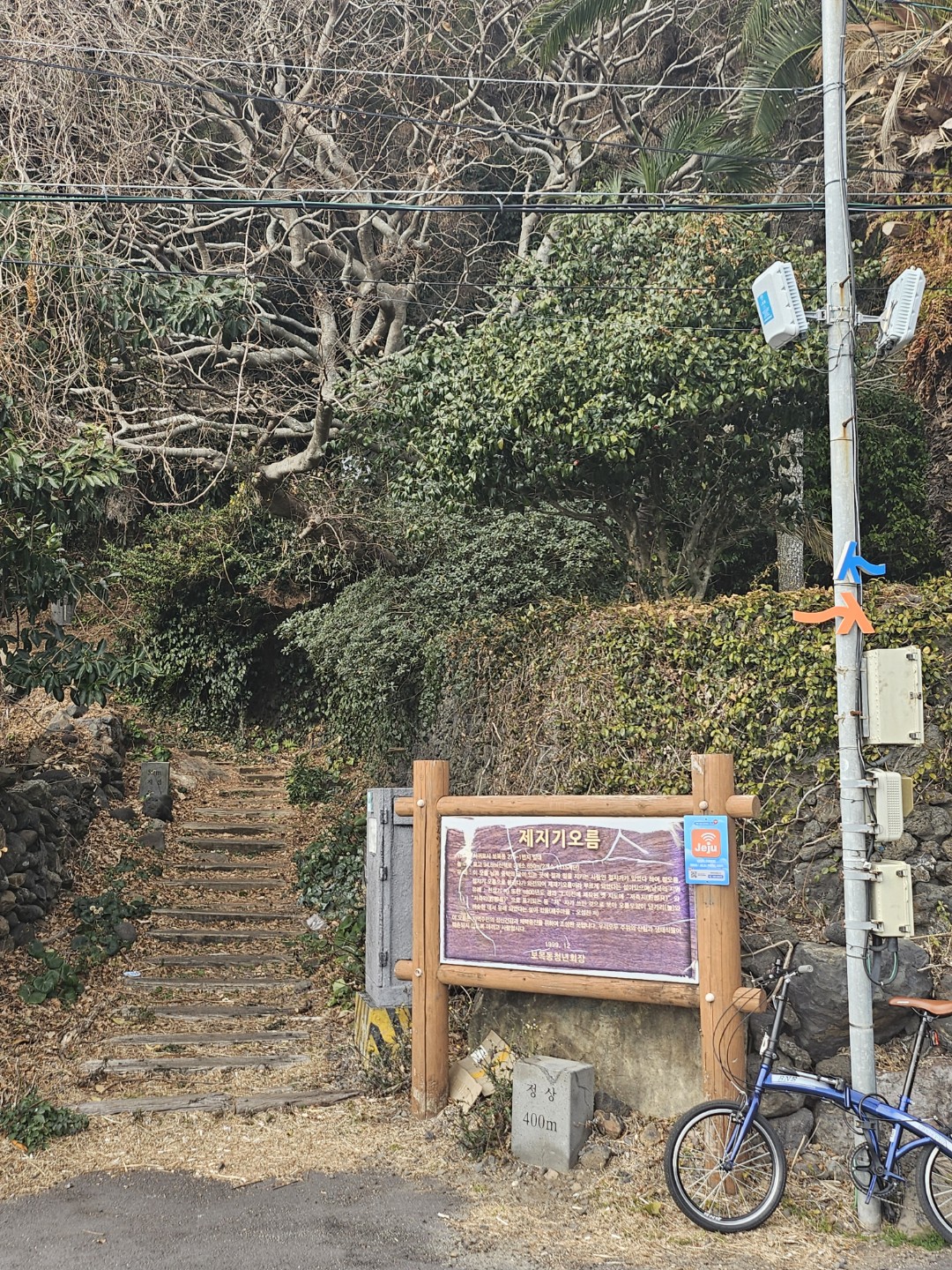 동네한바퀴
