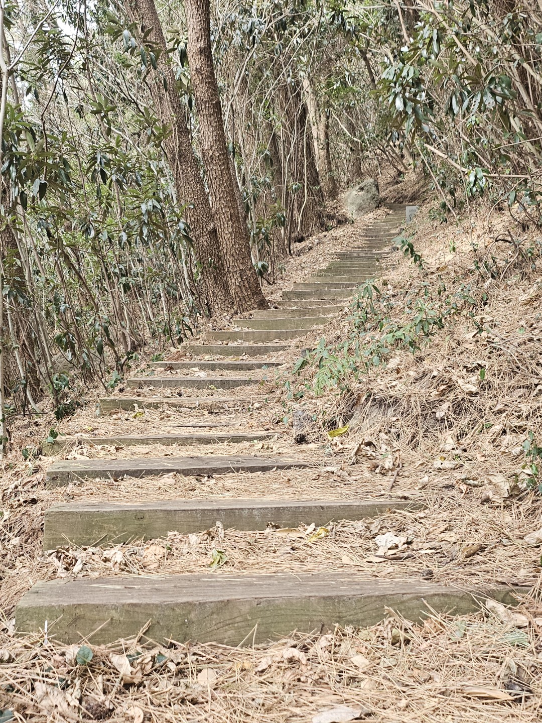 Post image 6