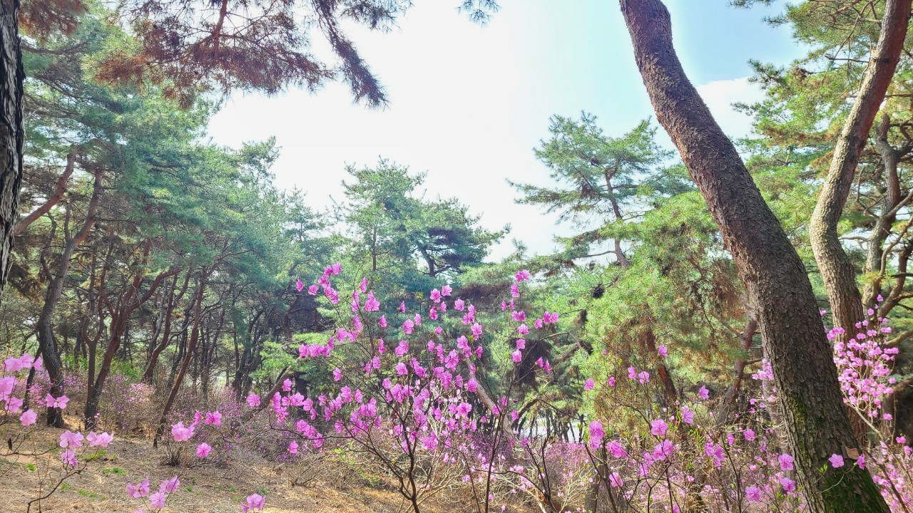 Post image 2