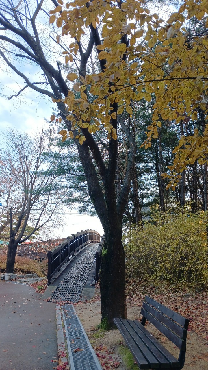 Post image 6