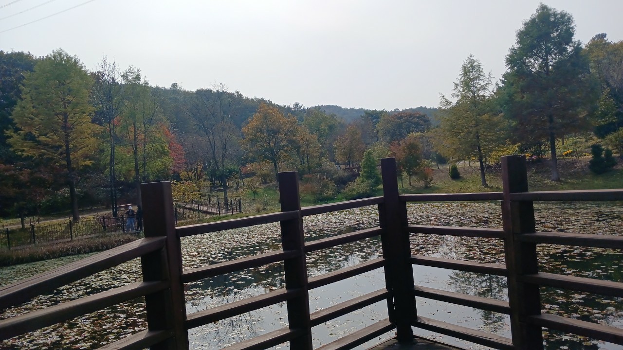 Post image 8