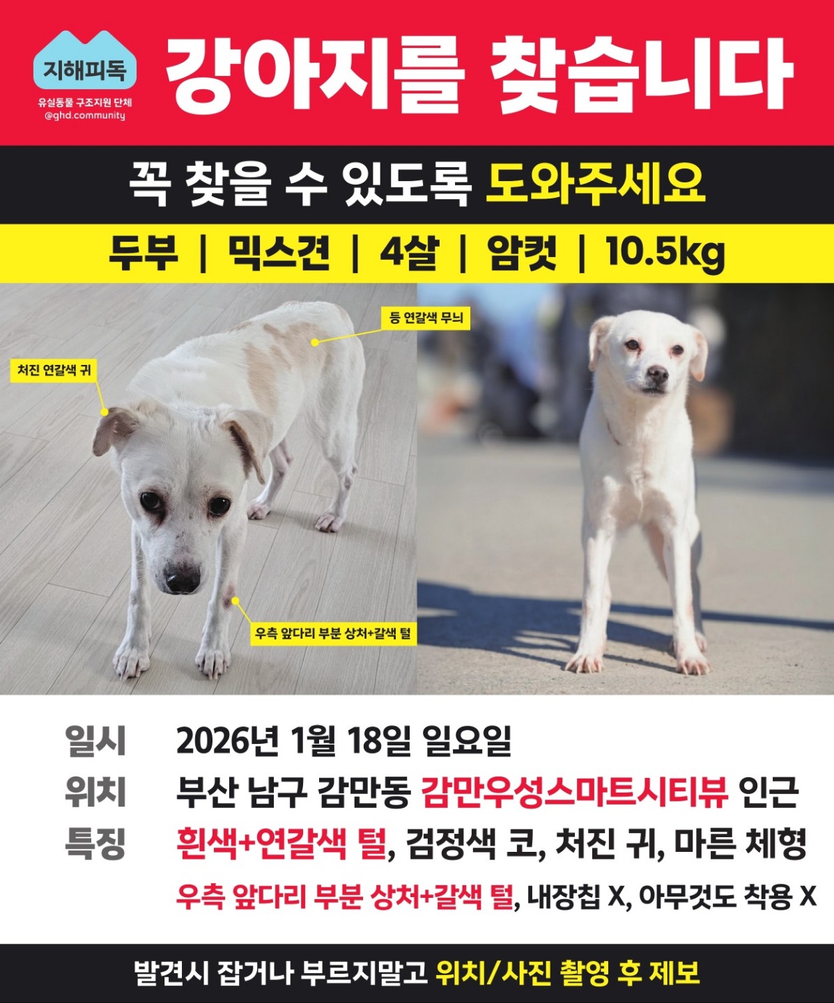 Post image 26