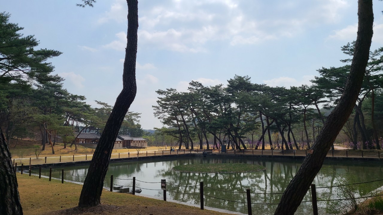 Post image 3